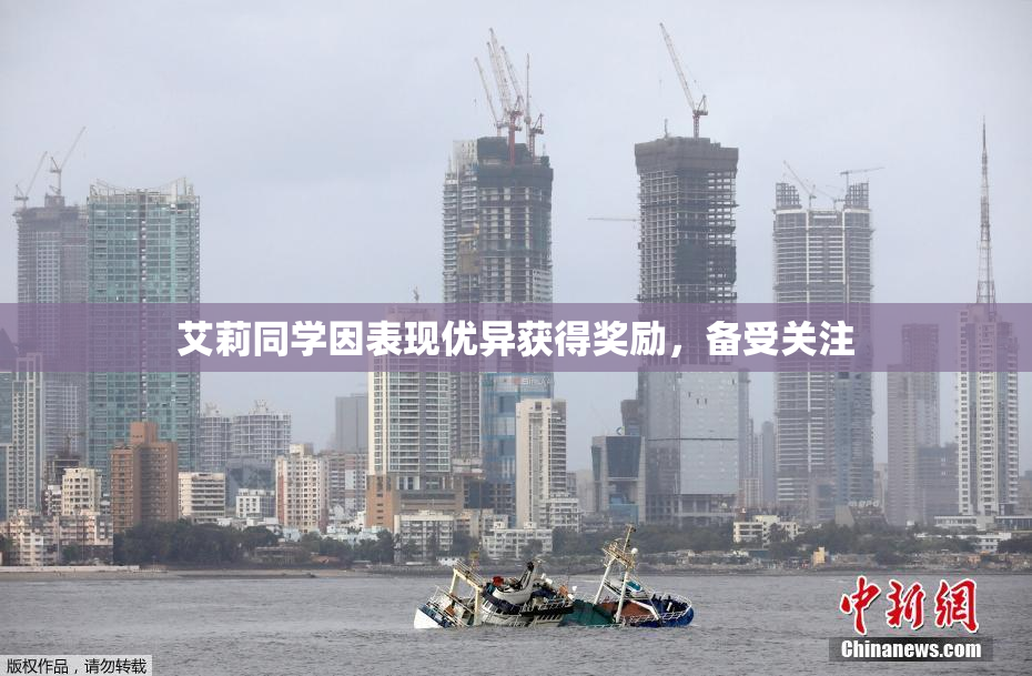 艾莉同学因表现优异获得奖励，备受关注