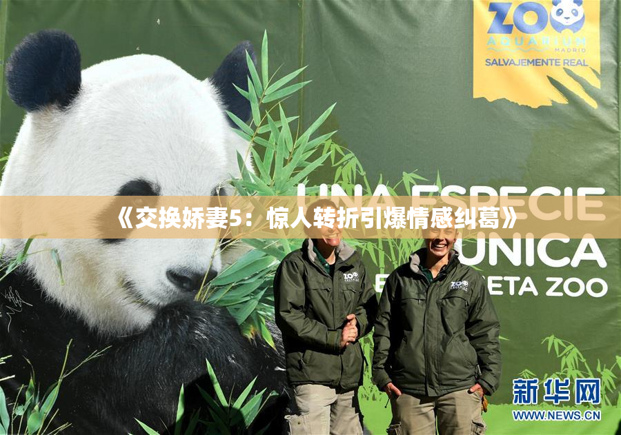 《交换娇妻5：惊人转折引爆情感纠葛》