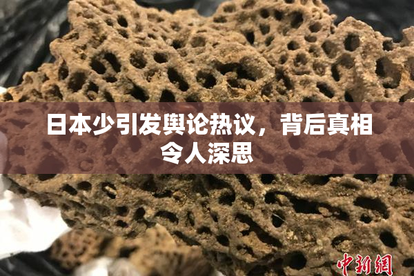 日本少引发舆论热议，背后真相令人深思