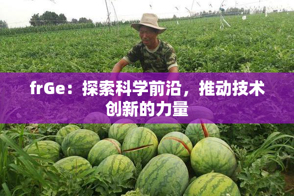 frGe：探索科学前沿，推动技术创新的力量