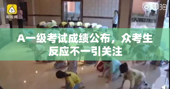 A一级考试成绩公布，众考生反应不一引关注