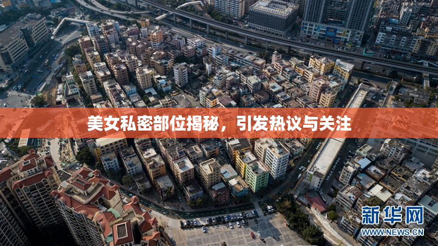 美女私密部位揭秘，引发热议与关注