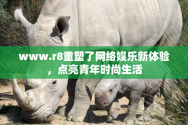 www.r8重塑了网络娱乐新体验，点亮青年时尚生活