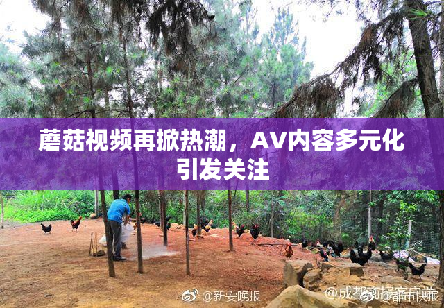 蘑菇视频再掀热潮，AV内容多元化引发关注