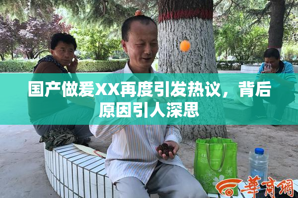 国产做爰XX再度引发热议，背后原因引人深思
