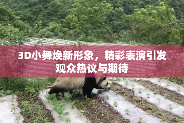 3D小舞焕新形象，精彩表演引发观众热议与期待