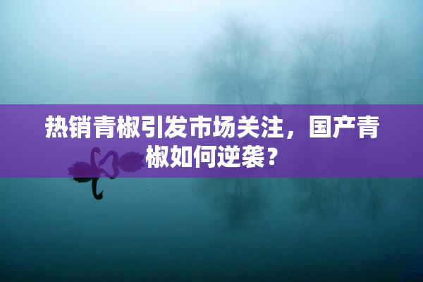 热销青椒引发市场关注，国产青椒如何逆袭？