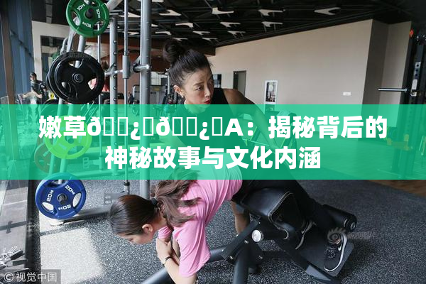 嫩草🌿‌🌿‌A：揭秘背后的神秘故事与文化内涵