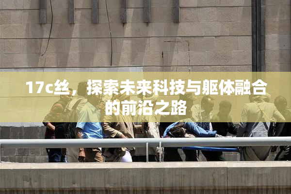 17c丝，探索未来科技与躯体融合的前沿之路
