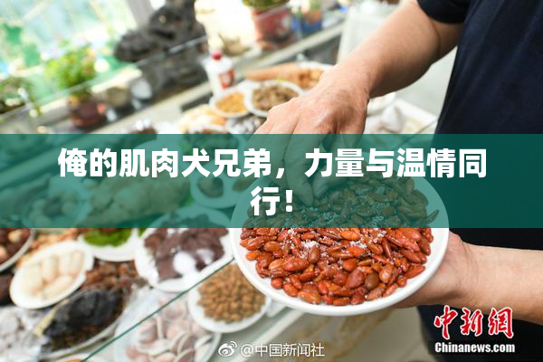 俺的肌肉犬兄弟，力量与温情同行！