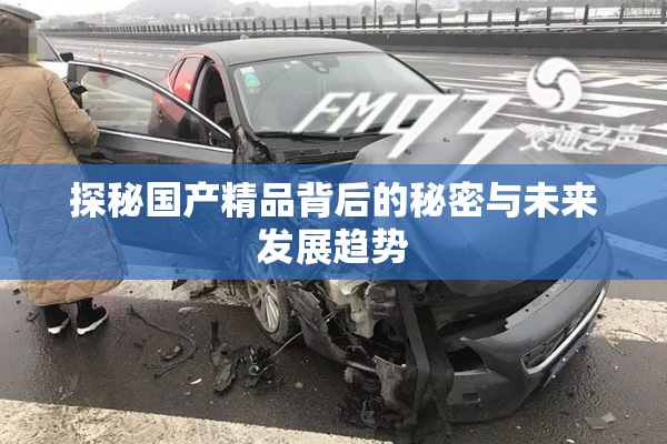 探秘国产精品背后的秘密与未来发展趋势