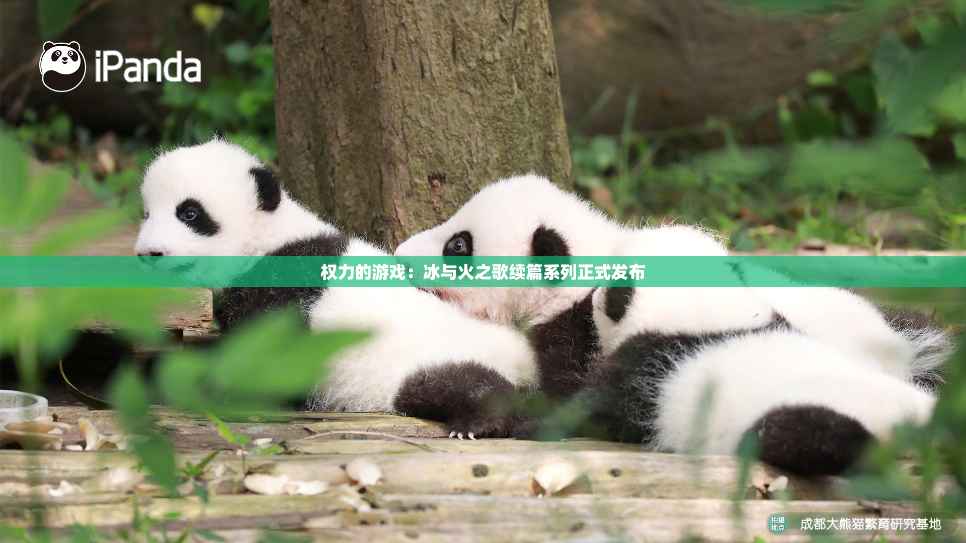 权力的游戏：冰与火之歌续篇系列正式发布