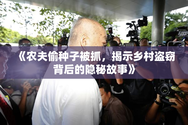 《农夫偷种子被抓，揭示乡村盗窃背后的隐秘故事》