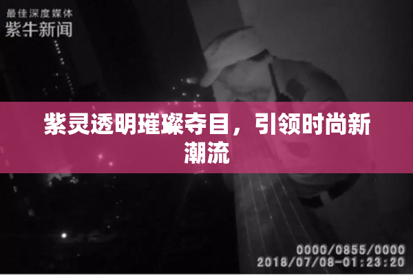 紫灵透明璀璨夺目，引领时尚新潮流