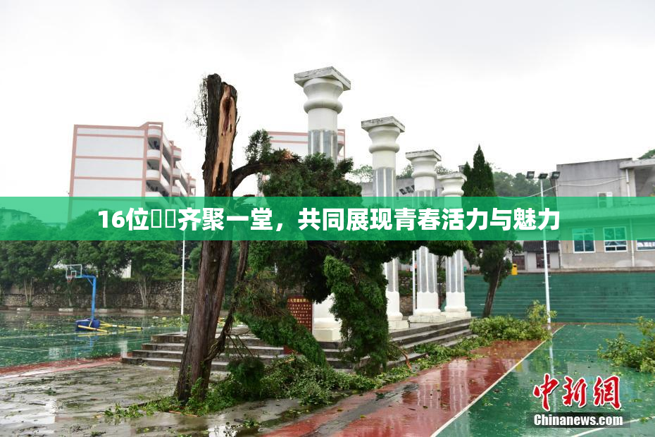 16位妺妺齐聚一堂，共同展现青春活力与魅力