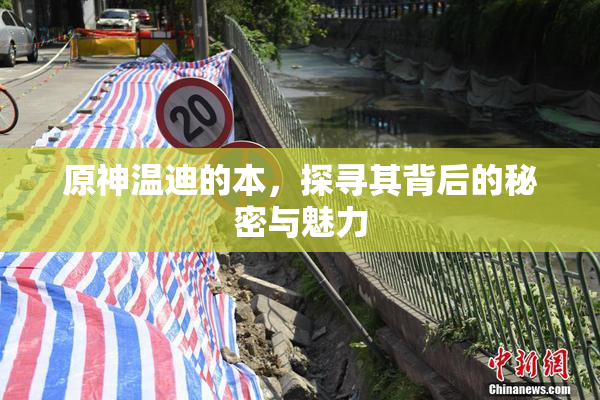 原神温迪的本，探寻其背后的秘密与魅力