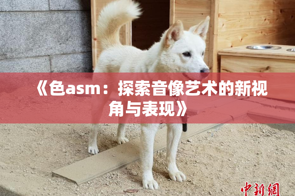 《色asm：探索音像艺术的新视角与表现》