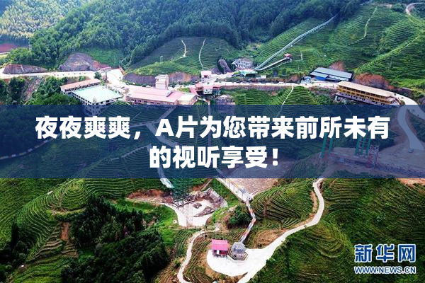 夜夜爽爽，A片为您带来前所未有的视听享受！