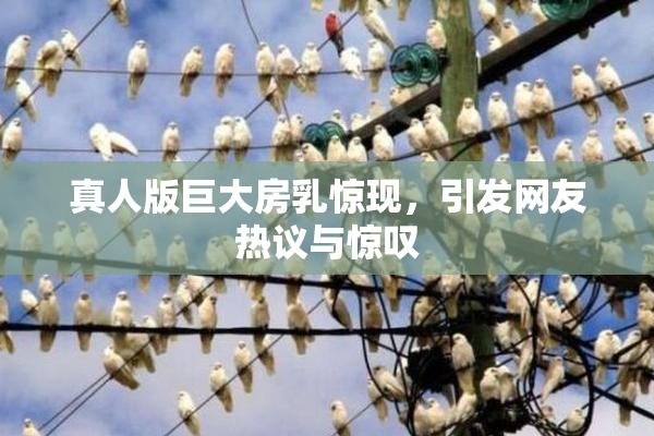 真人版巨大房乳惊现，引发网友热议与惊叹