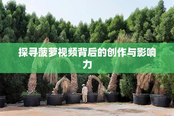 探寻菠萝视频背后的创作与影响力