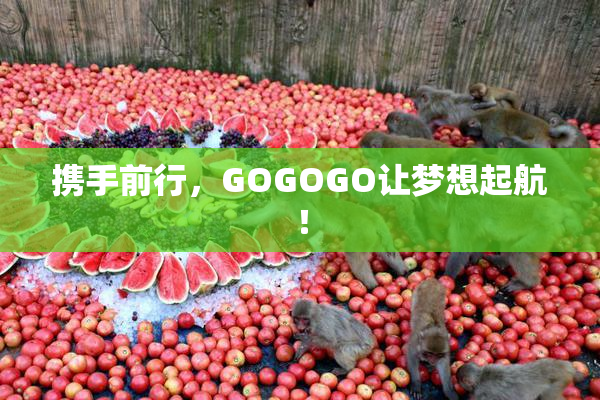 携手前行，GOGOGO让梦想起航！