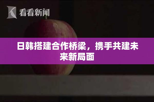 日韩搭建合作桥梁，携手共建未来新局面