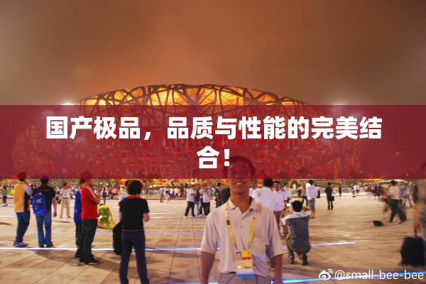 国产极品，品质与性能的完美结合！