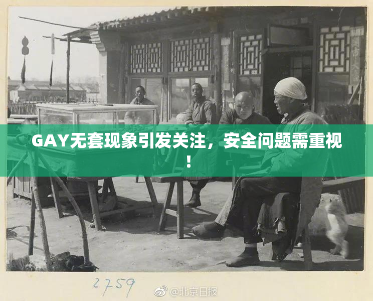 GAY无套现象引发关注，安全问题需重视！