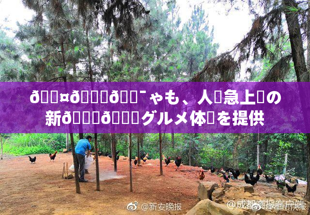 🖤🌃🔯ゃも、人気急上昇の新👅🍑グルメ体験を提供