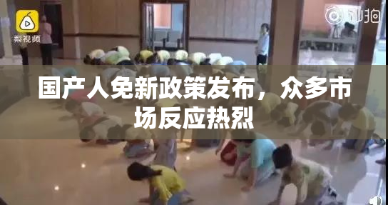 国产人免新政策发布，众多市场反应热烈