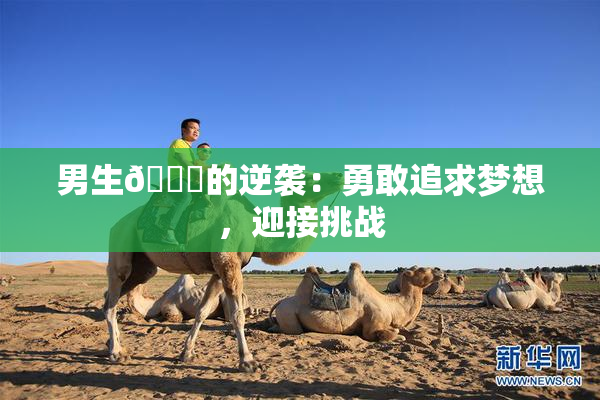 男生🔞的逆袭：勇敢追求梦想，迎接挑战