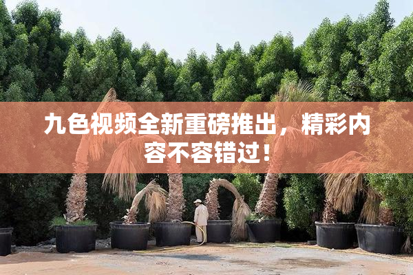 九色视频全新重磅推出，精彩内容不容错过！