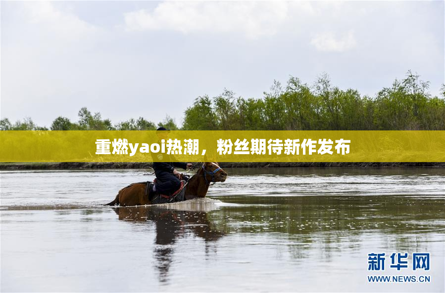 重燃yaoi热潮，粉丝期待新作发布