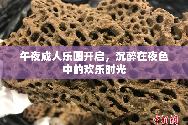 午夜成人乐园开启，沉醉在夜色中的欢乐时光
