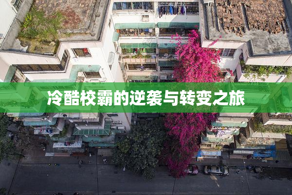冷酷校霸的逆袭与转变之旅