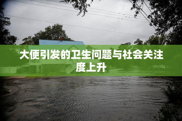 大便引发的卫生问题与社会关注度上升