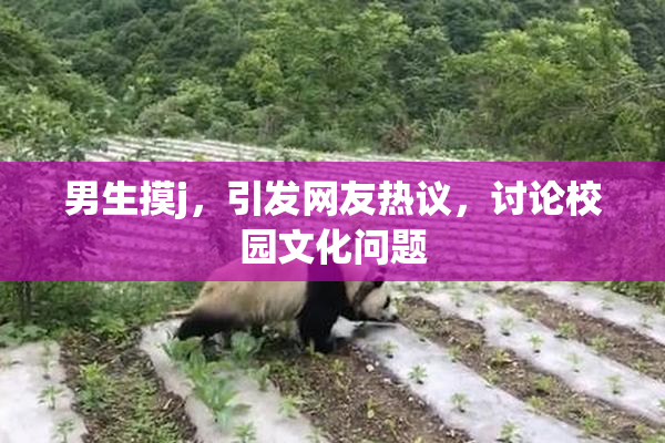 男生摸j，引发网友热议，讨论校园文化问题