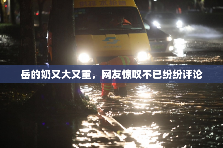 岳的奶又大又重，网友惊叹不已纷纷评论