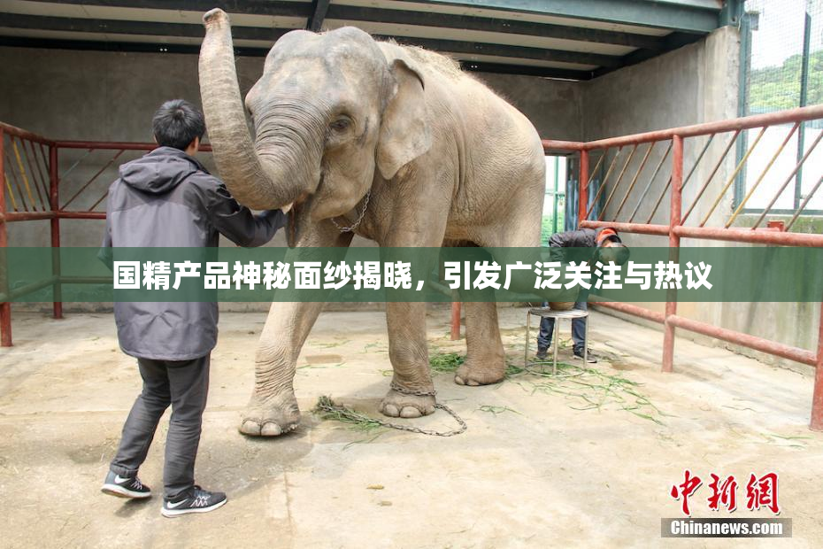 国精产品神秘面纱揭晓，引发广泛关注与热议