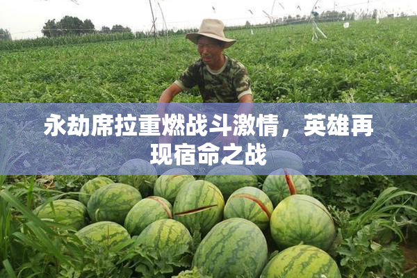永劫席拉重燃战斗激情，英雄再现宿命之战