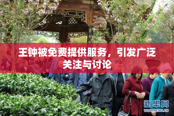 王钟被免费提供服务，引发广泛关注与讨论