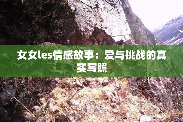 女女les情感故事：爱与挑战的真实写照