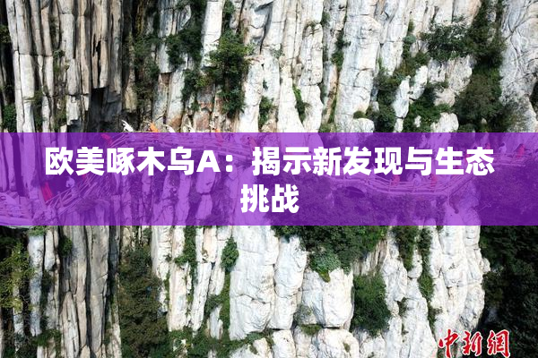 欧美啄木乌A：揭示新发现与生态挑战