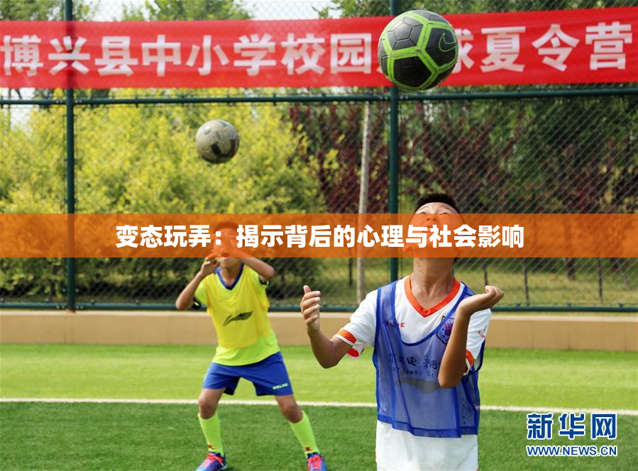变态玩弄：揭示背后的心理与社会影响