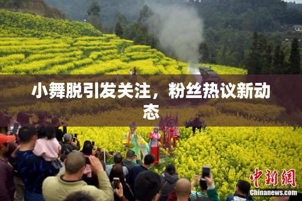 小舞脱引发关注，粉丝热议新动态