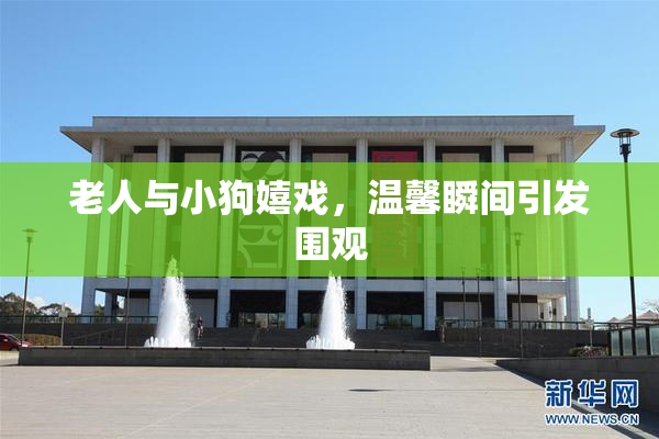 老人与小狗嬉戏，温馨瞬间引发围观
