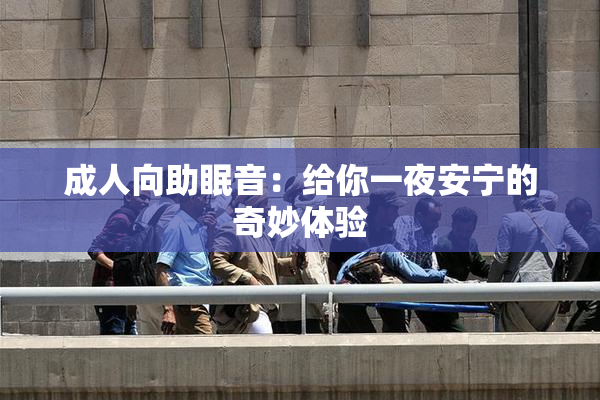 成人向助眠音：给你一夜安宁的奇妙体验