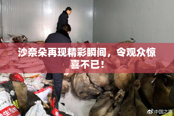 沙奈朵再现精彩瞬间，令观众惊喜不已！