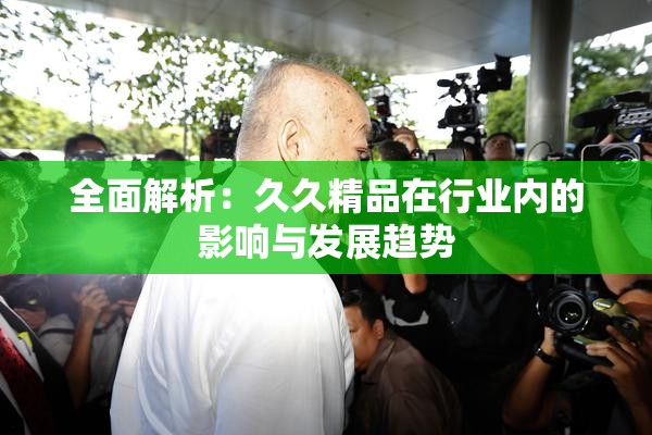 全面解析：久久精品在行业内的影响与发展趋势