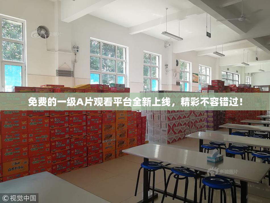 免费的一级A片观看平台全新上线，精彩不容错过！